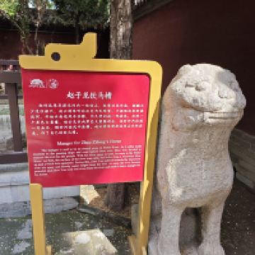 評論圖片 5