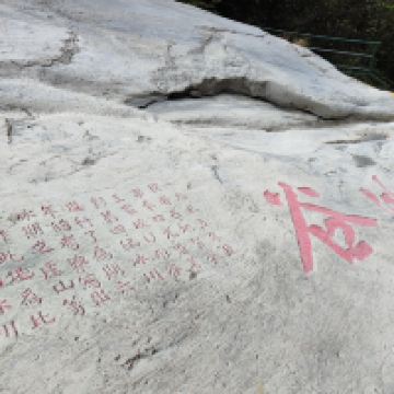 評論圖片 4