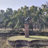 評論圖片 8