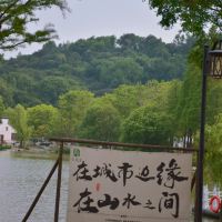 評論圖片 1