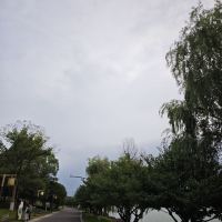 評論圖片 2