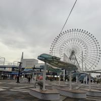 評論圖片 9