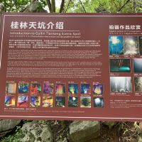 評論圖片 1