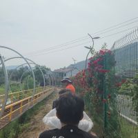 評論圖片 2