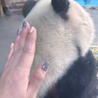 評論圖片 3