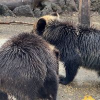 評論圖片 3