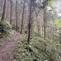 評論圖片 6