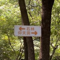 評論圖片 5
