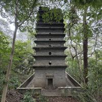 評論圖片 7