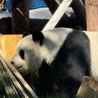 評論圖片 6