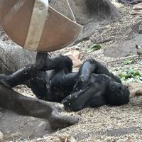 評論圖片 3