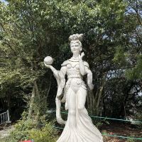 評論圖片 3