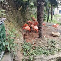 評論圖片 1