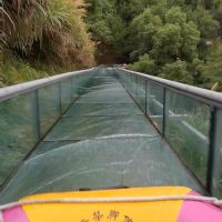 評論圖片 3