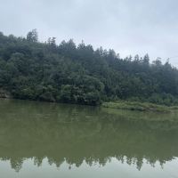 評論圖片 2