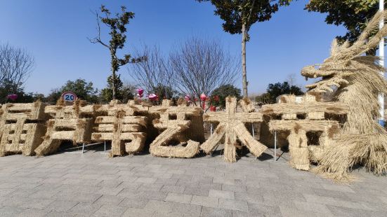 门票不贵 含船票 ；风景挺好 很多鸟； 门口检票的姐姐麻利爽