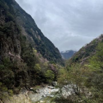 評論圖片 3