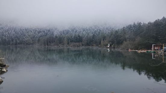 景色漂亮，海拔不算低。走到山顶应该有3860米，如果没有高原