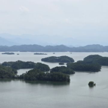 評論圖片 2