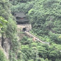 評論圖片 5