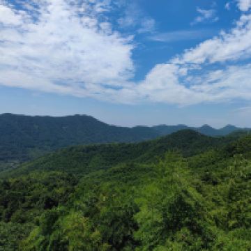 評論圖片 1