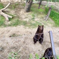 評論圖片 6