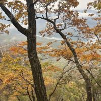 評論圖片 4