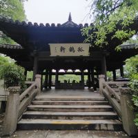 評論圖片 2