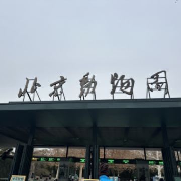評論圖片 1