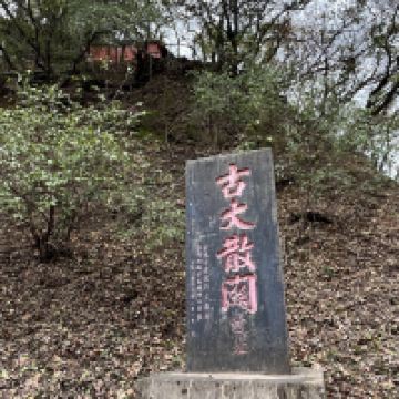 評論圖片 1