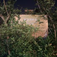 評論圖片 9