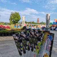 評論圖片 1