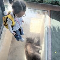 評論圖片 2
