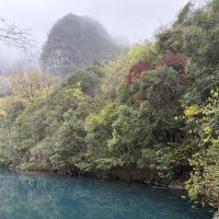 評論圖片 4