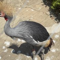 評論圖片 2