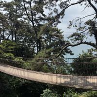 評論圖片 5