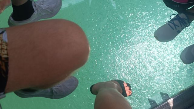 review picture