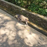 評論圖片 7
