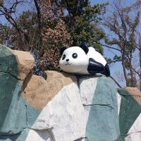 評論圖片 6