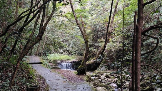 景区在维修，上游水库截流，景区基本没有什么水，进去走了一大部