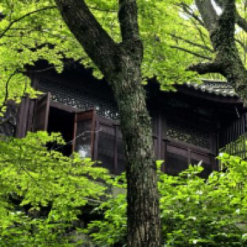 評論圖片 3