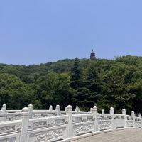 評論圖片 1