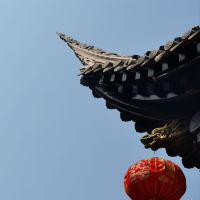 評論圖片 1