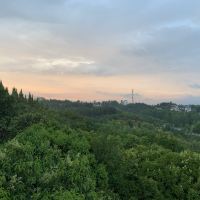 評論圖片 1