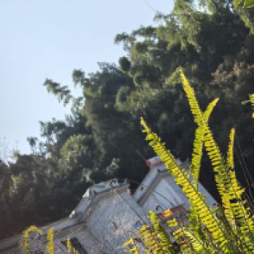 評論圖片 3