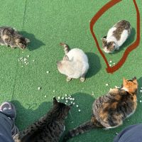 評論圖片 8