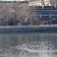 評論圖片 9