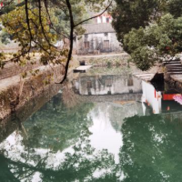 評論圖片 7