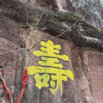 評論圖片 4