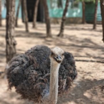 評論圖片 6